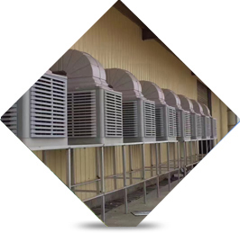 高質原料 質量源頭把控