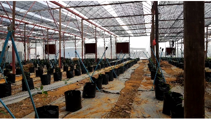 馬來(lái)西亞客戶發(fā)回反饋